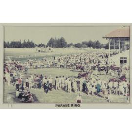 Parade ring at farewell meeting of the Hororāta Trotting Club, Hororāta Racecourse, 10 March 1984