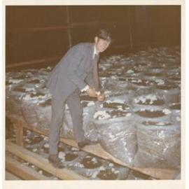 Philip Burdon in mushroom growing shed