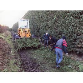 Pineglades shelterbelt management