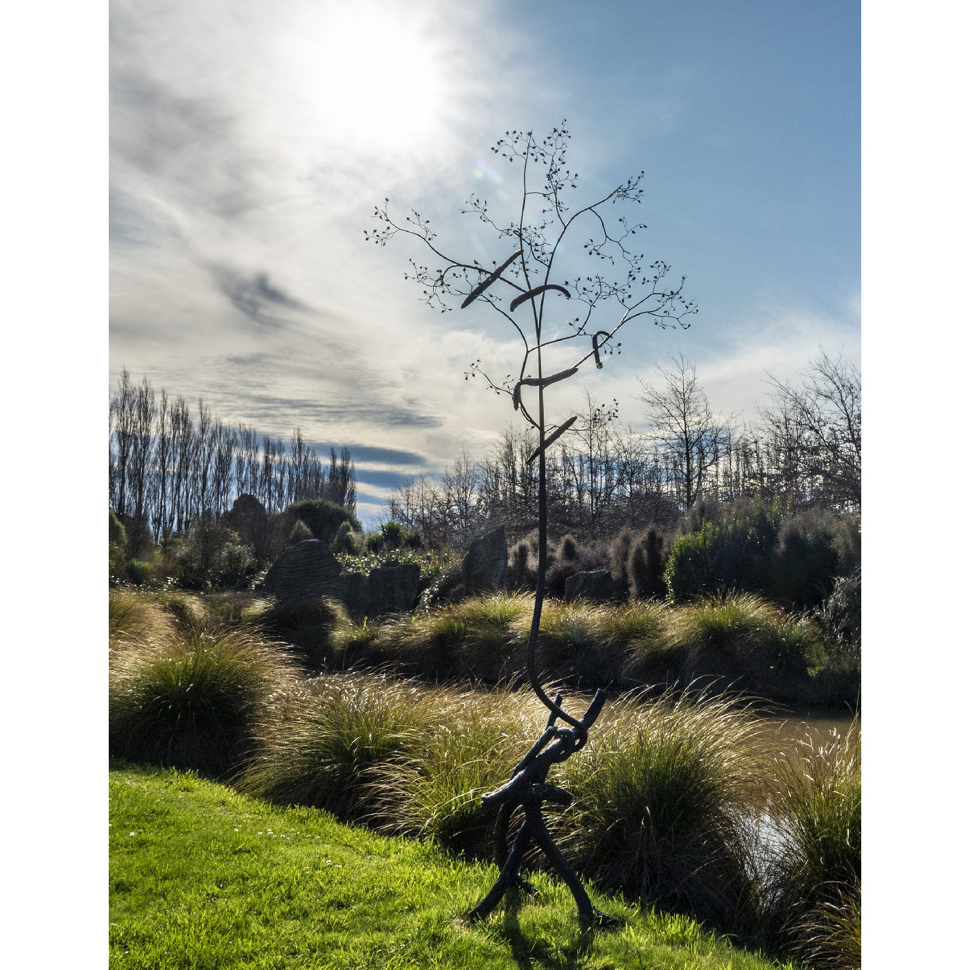 The love of art and biodiversity at Tai Tapu Sculpture Garden