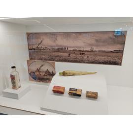 Chicory exhibition case, Te Ara Ātea