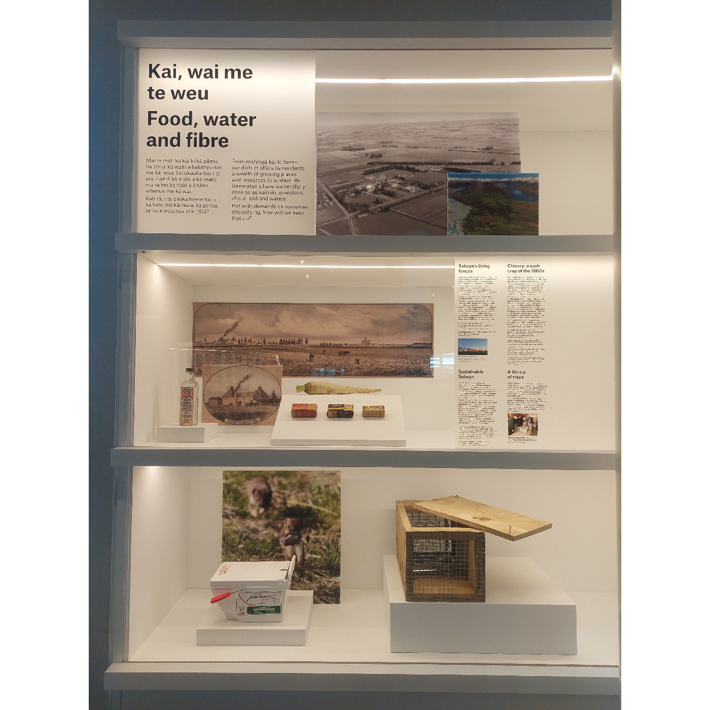 Kai, wai me te weu: Food water and fibre 2023