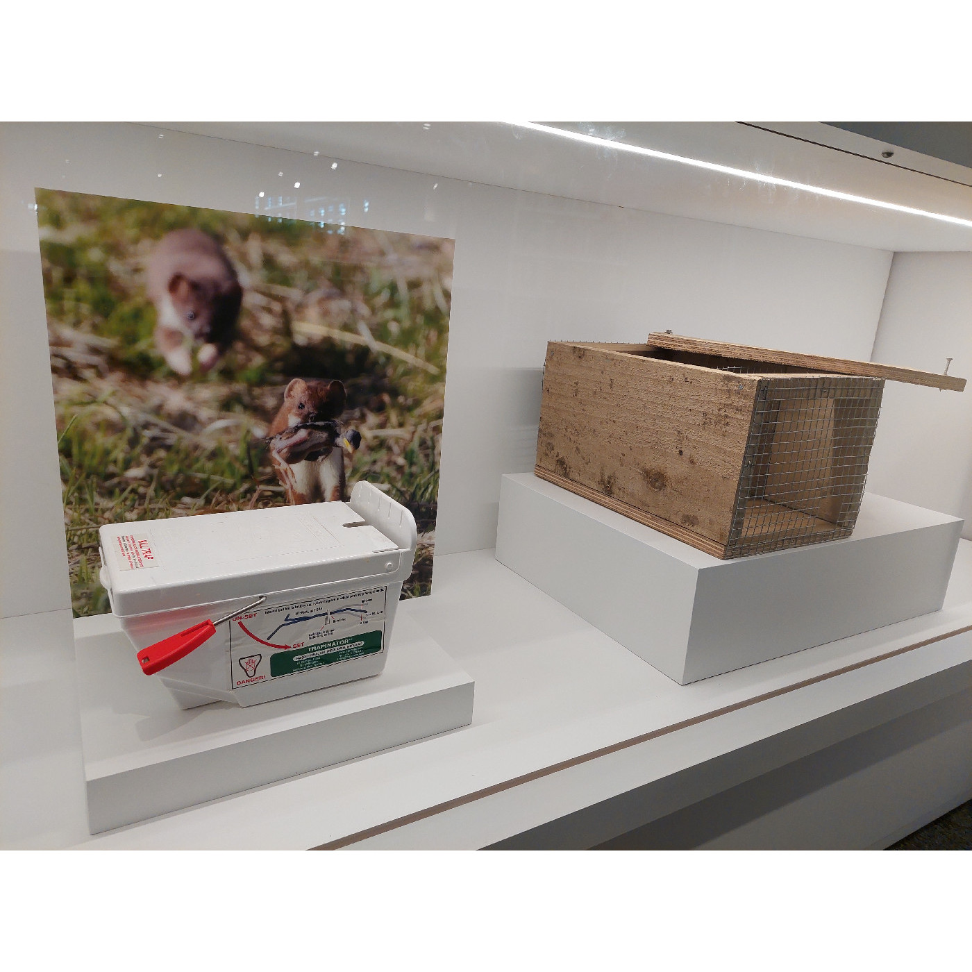 Caring for the land: Ellesmere Sustainable Agriculture Inc.