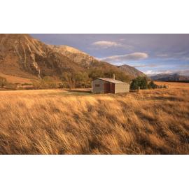 Tramper's hut near Moana Rua Lake Pearson