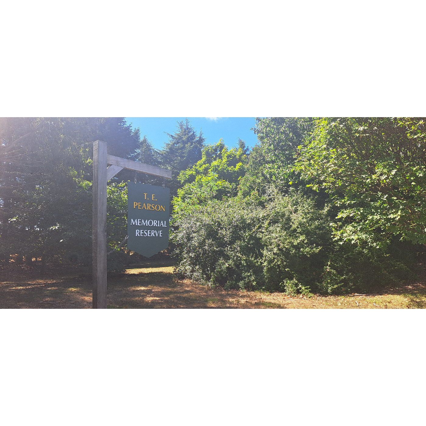 T. E. Pearson Memorial Reserve, Darfield