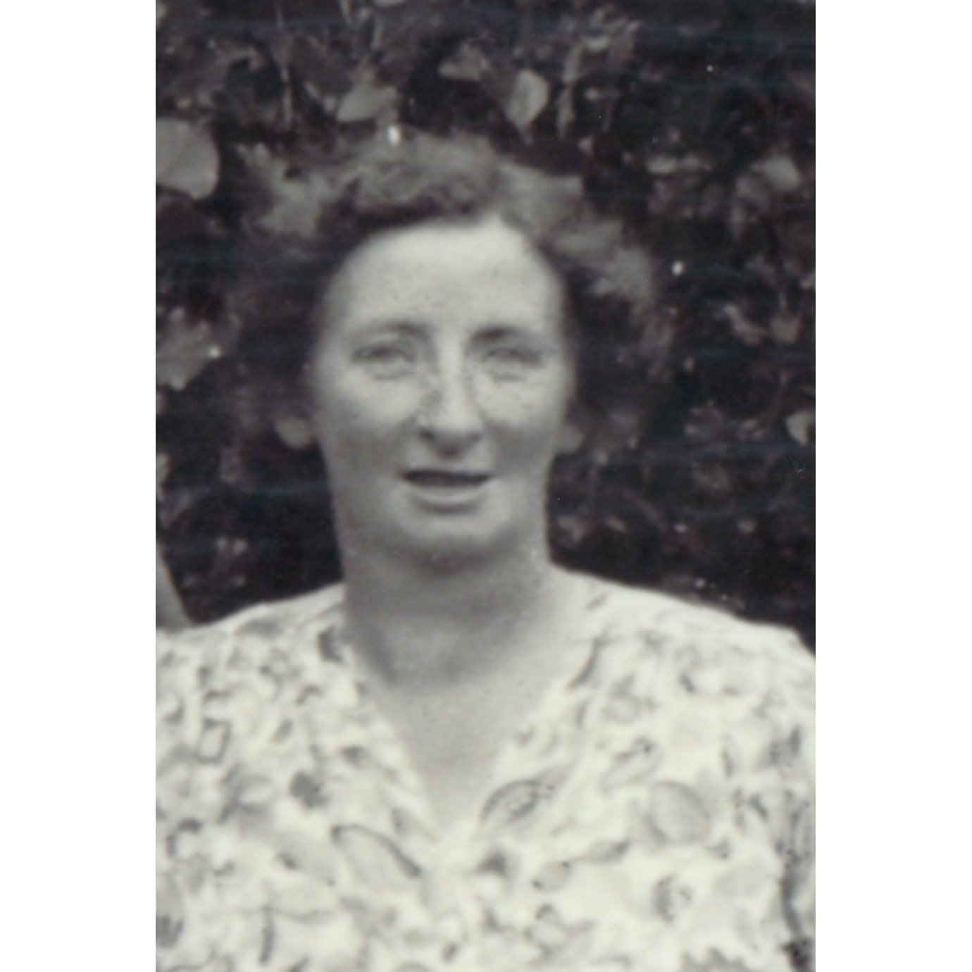 Transcript of 3YA broadcast Wife of a Beekeeper, 1961