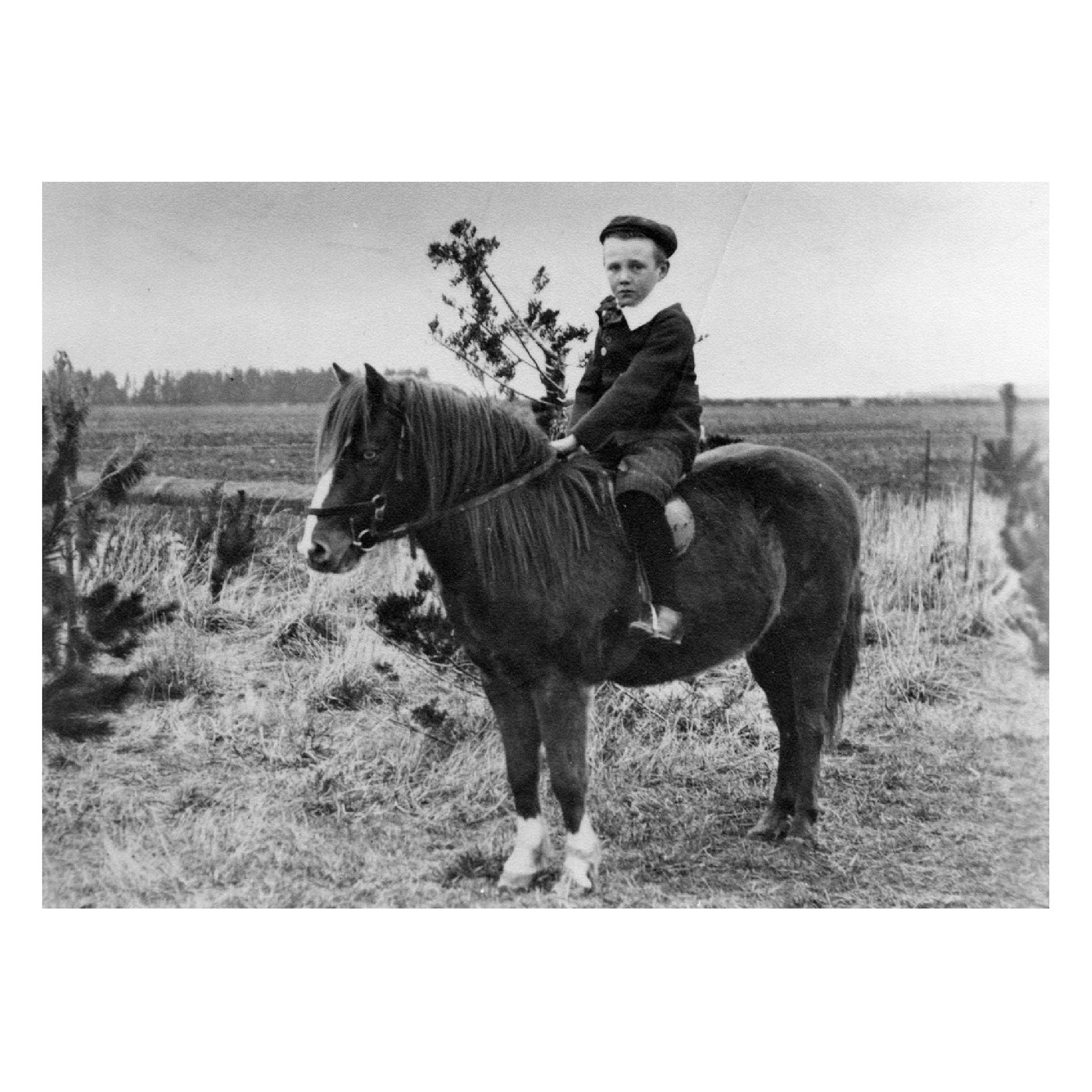 Kids riding horses to school