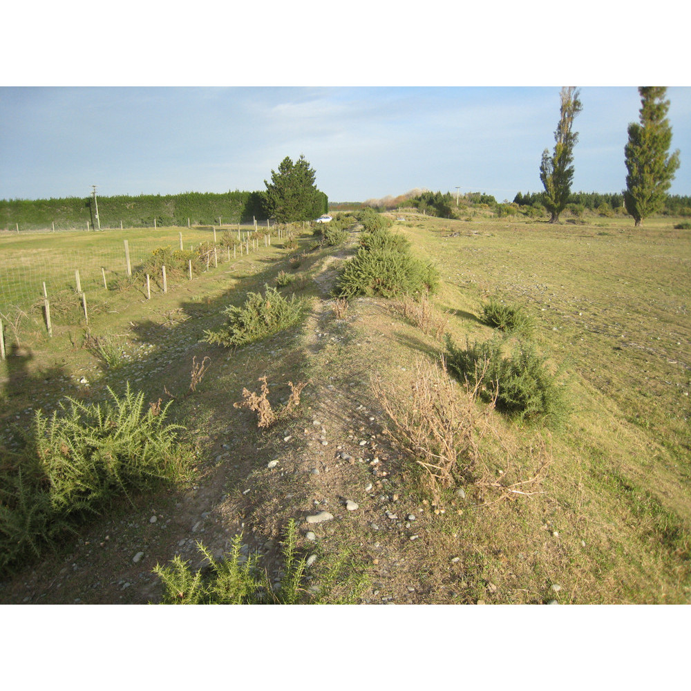 North Rakaia River Board of Conservators