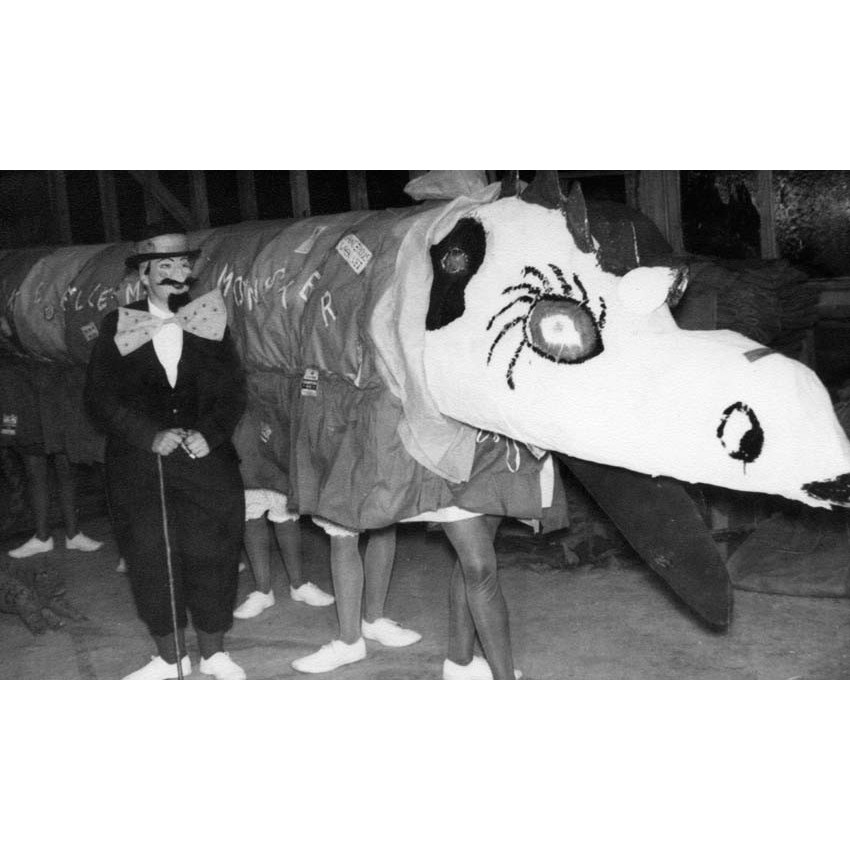 The 'Lake Ellesmere Monster'