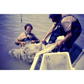 Eeling in Te Waihora Lake Ellesmere