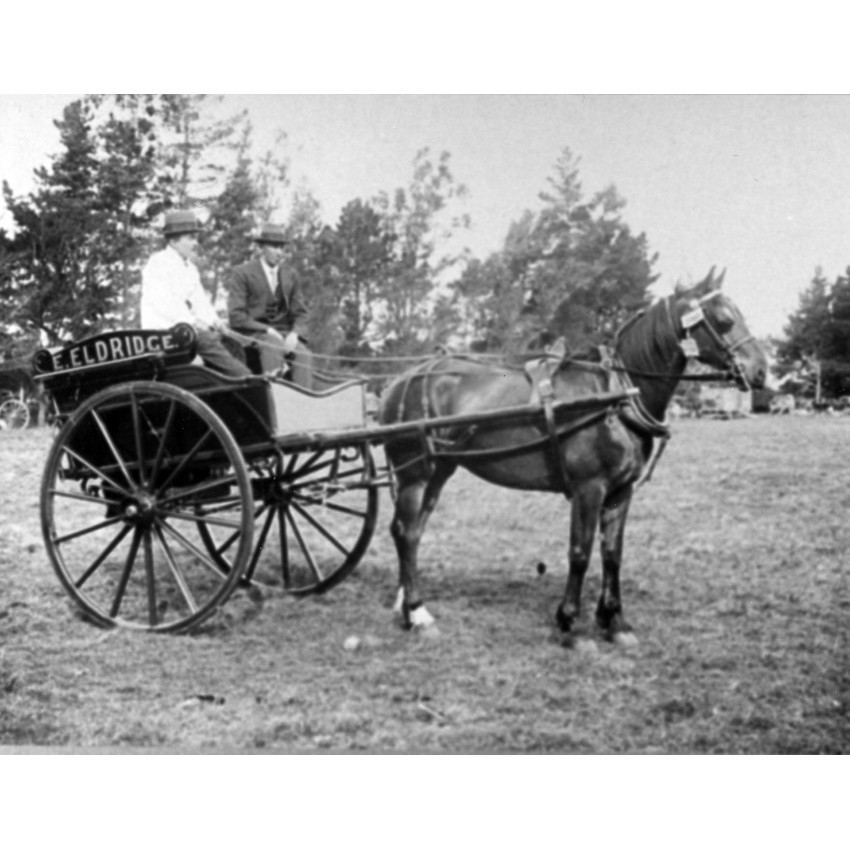 Private horse-drawn vehicles in Ellesmere
