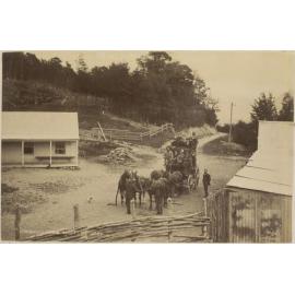 Springfield coach at Bealey