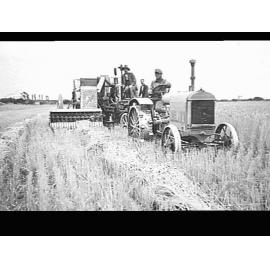 Engine functioned header with pick up harvesting wheat at J. Boyce's farm, Lincoln