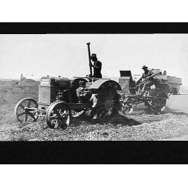Header working in peas on Mr. G. W. Osborne's farm in a 40 bushel crop