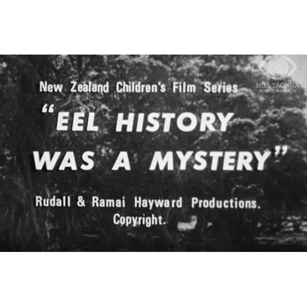Eel History Was a Mystery