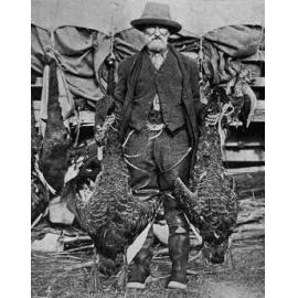 Kakīānau Black swans harvested at Lake Ellesmere