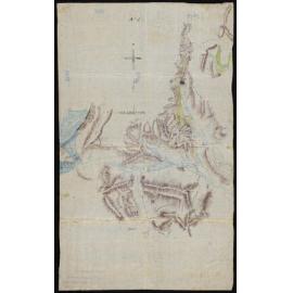 Nōti Raureka Brownings Pass