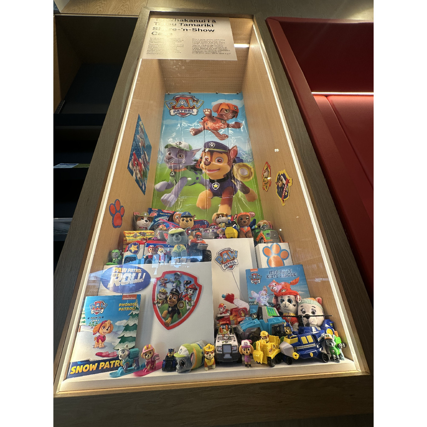 Luke and his Paw Patrol collection