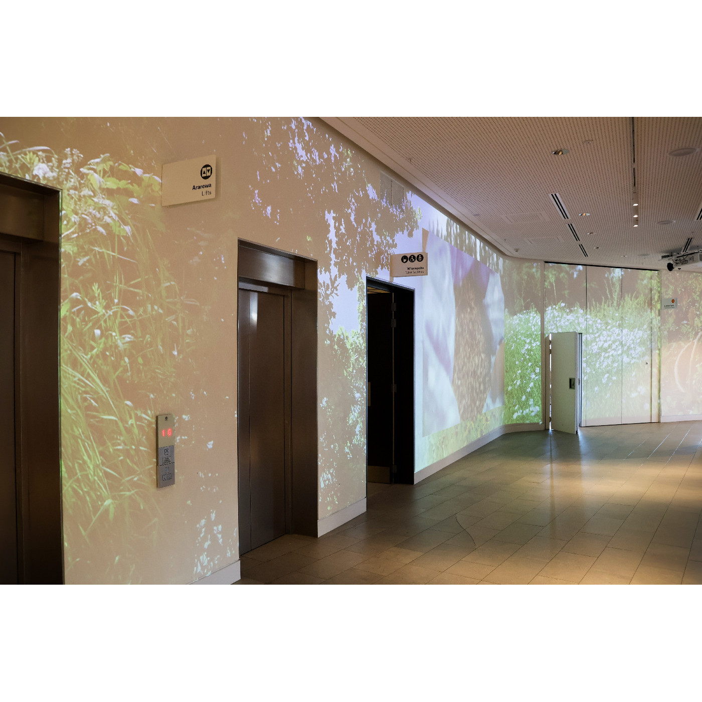 Steven Junil Park 박준일, Stories from the Soil, 2025