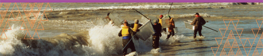 Selwyn Stories Banner_Selwyn Stories Banner_Whitebaiting
