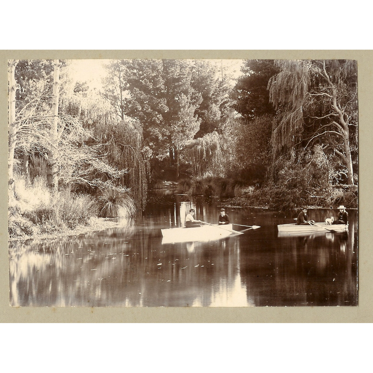 Ryelands Pond on the Liffey Stream (L1) in Lincoln