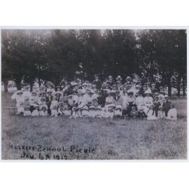 Halkett School picnic