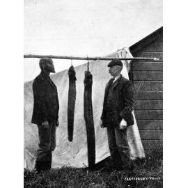 Men with eels, 1909