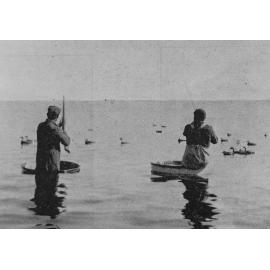 Duck shooting on Lake Ellesmere