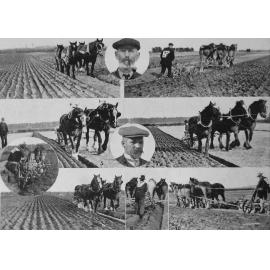 Leeston Ploughing Match