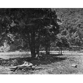 Midland Railway Line, a Temporary Bridge at Bealey Flat