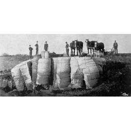 The contractor (Mr. J. Campbell, of Ellesmere) and his men, protection works on the Rakaia river 