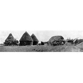Canterbury Agricultural College, Harvesting