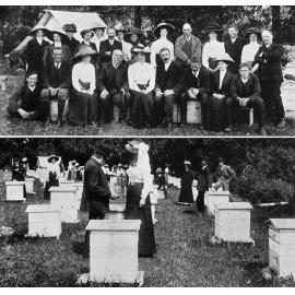 Canterbury Bee-keepers' Association