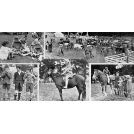 The annual show of the Courtenay A. and P. Association