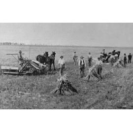 Fieldwork at Burnham Industrial School