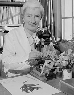 Lucy Moore examines a plant specimen