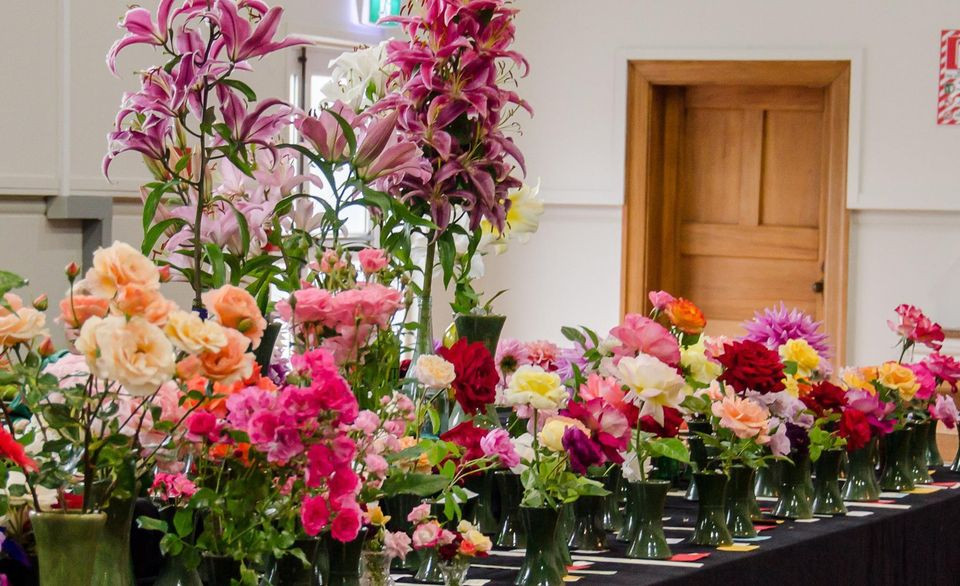 Southbridge Horticultural Society Show. Source: Southbridge Horticultural Society Facebook page https://www.facebook.com/southbridgehorticulturalsociety/