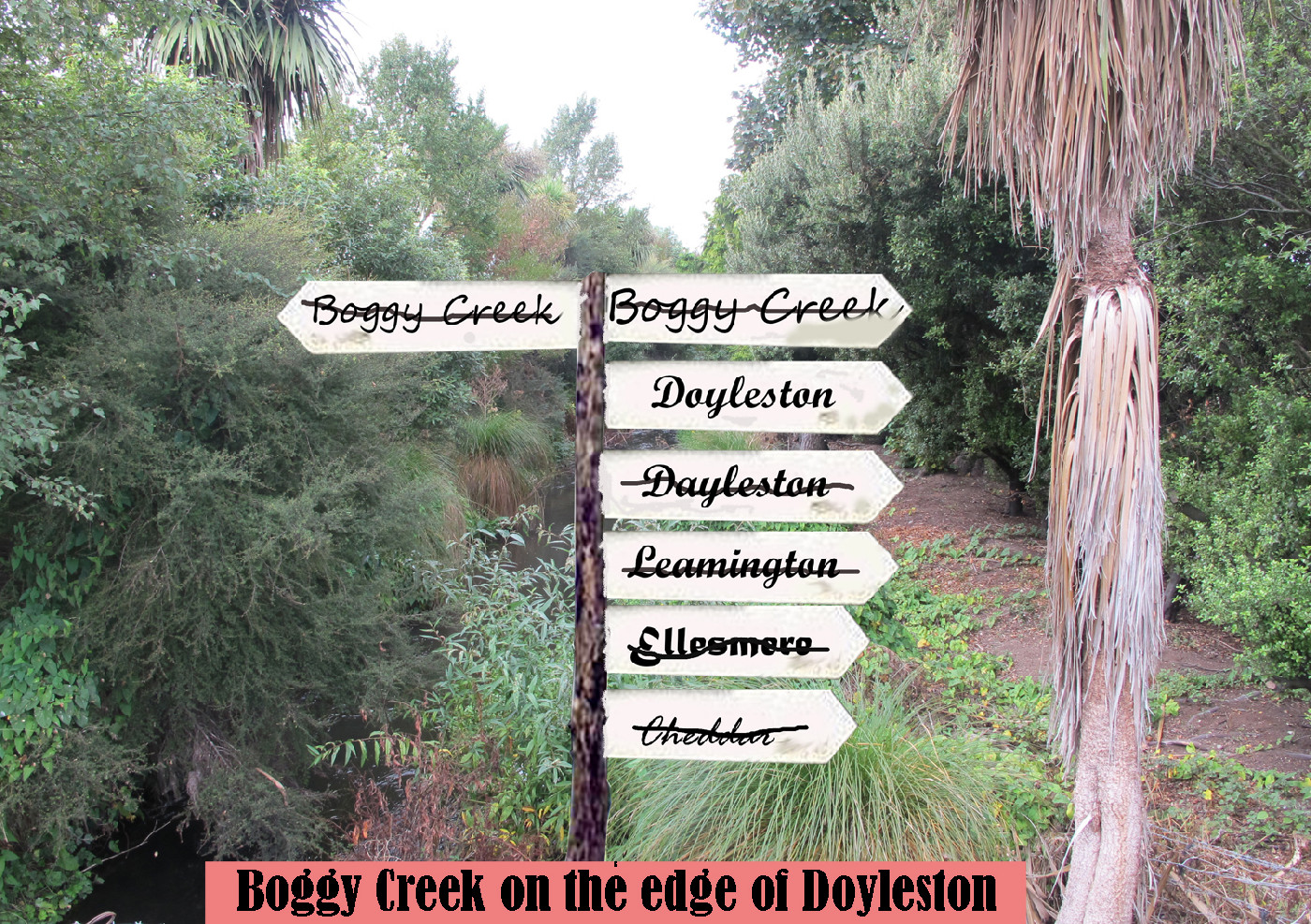 Doyleston - A Rose by any other Name