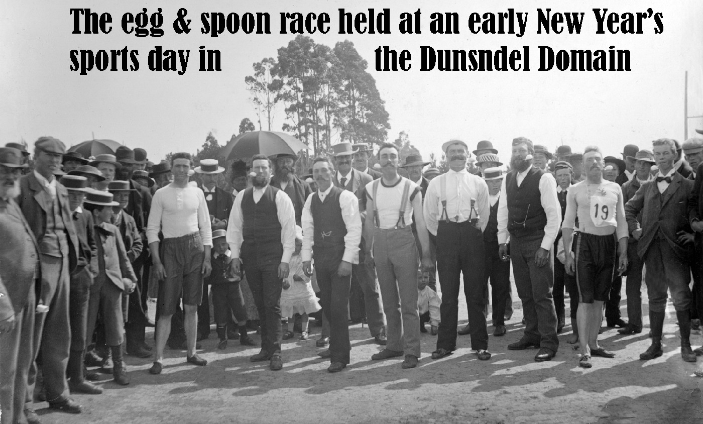 History of the Dunsandel Domain