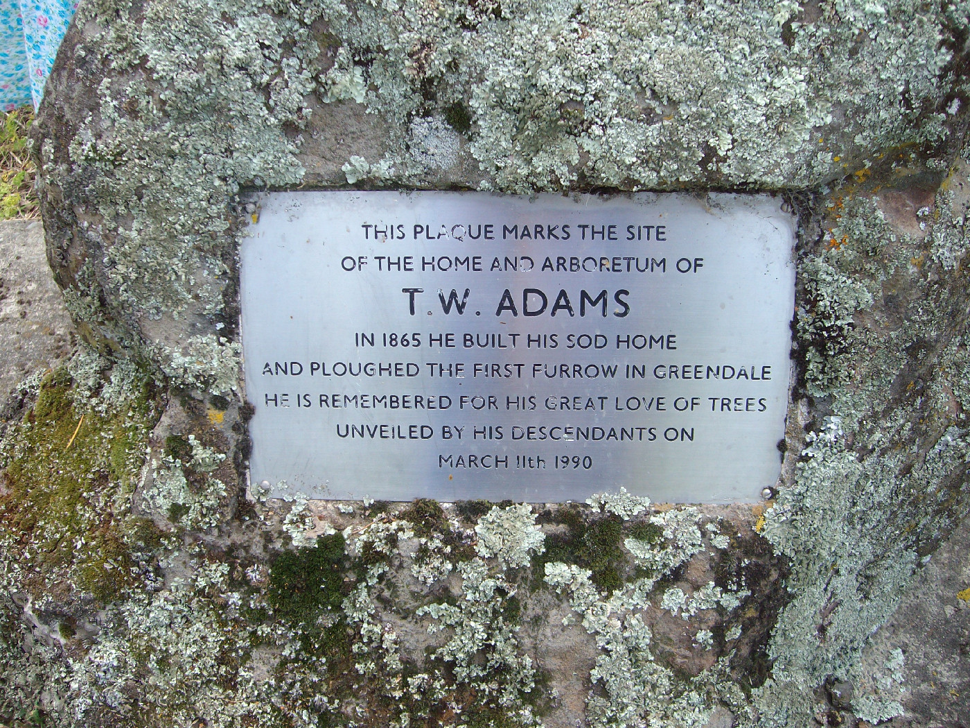 Photograph by Katrina Sampson, available at https://katrinasampson.files.wordpress.com/2012/03/sany9501.jpg